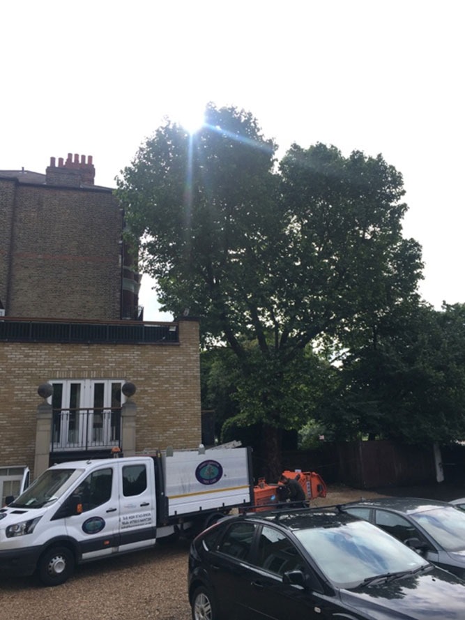 Tree surgery team completing site clearance work at Clapham Common London