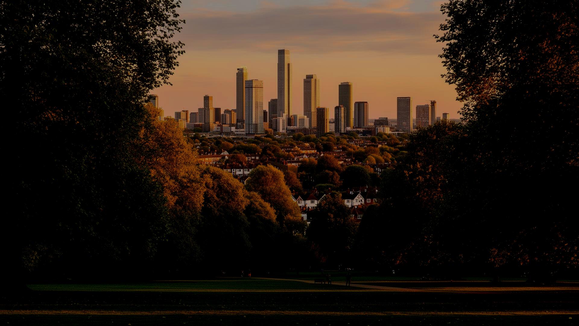 Professional tree surgery services in Croydon by Carpenters Tree Care