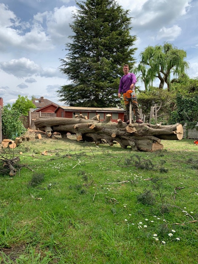 Harry Carpenter, founder of Carpenters Tree Care, operating a chainsaw during tree surgery work