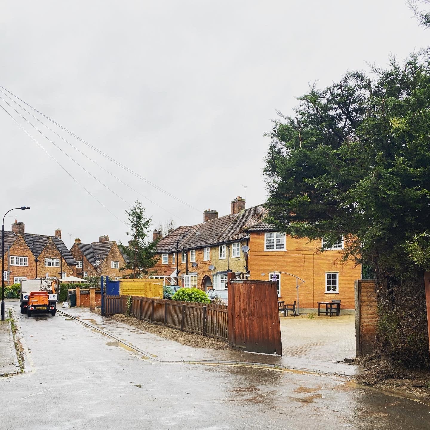 Large overgrown hedge and trees in a residential area requiring professional hedge reduction