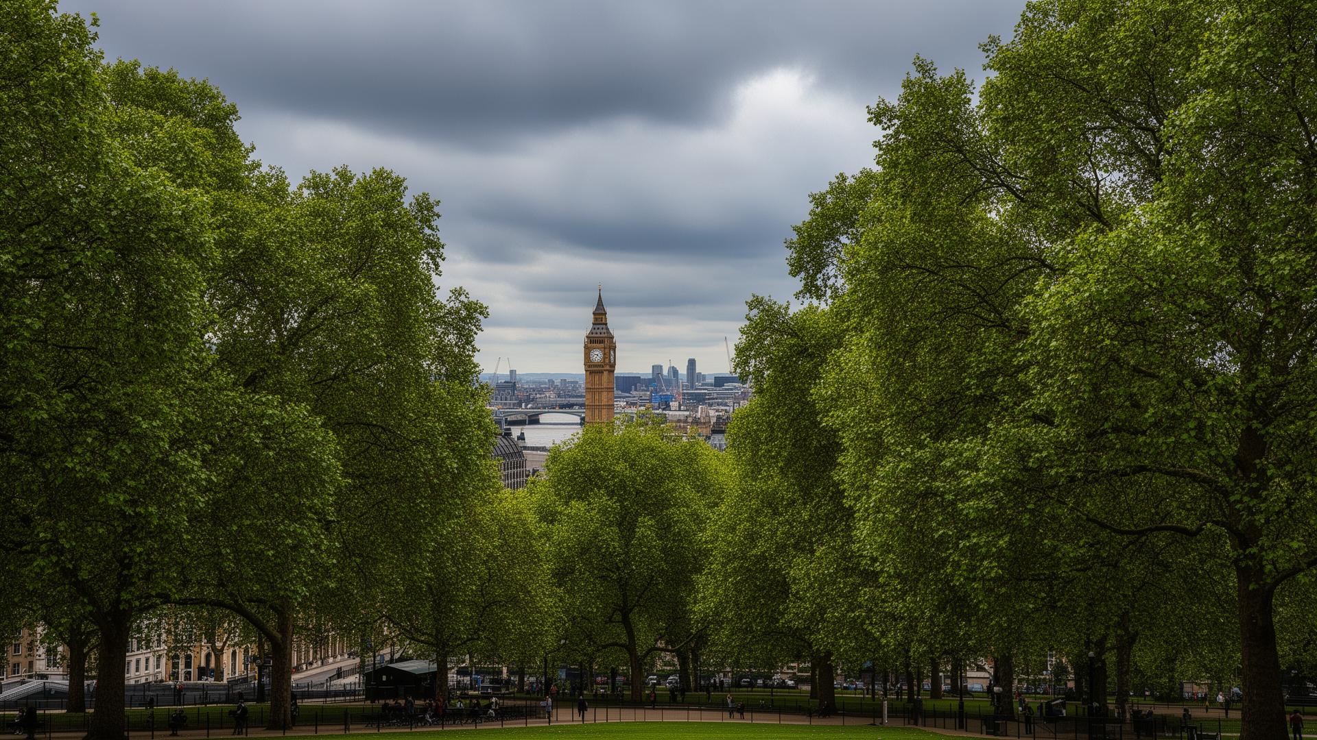 Professional tree surgery services in London by Carpenters Tree Care